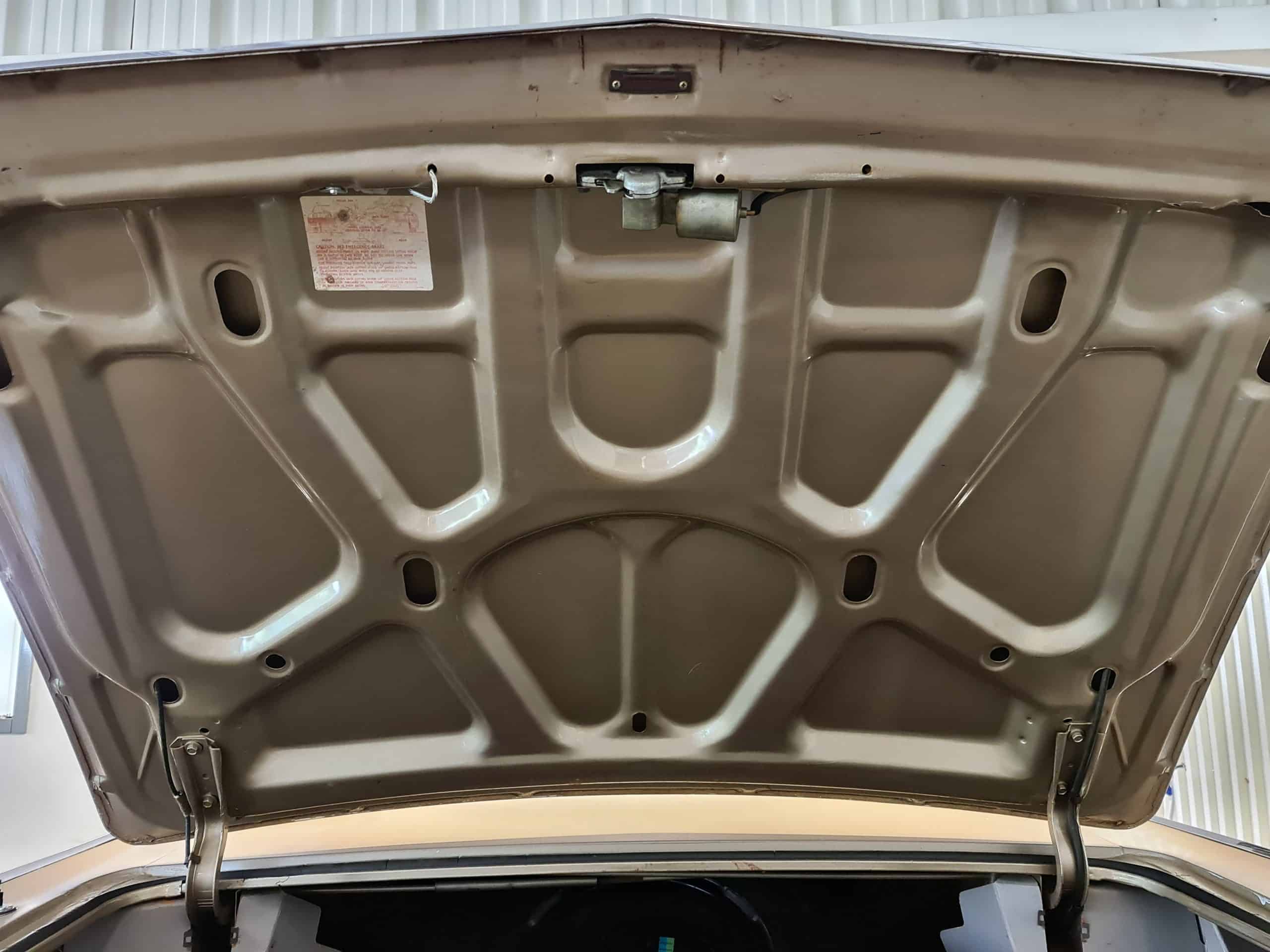 Buick Electra 225 Custom Coupé 1966